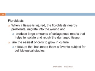 Fibroblasts
 When a tissue is injured, the fibroblasts nearby
proliferate, migrate into the wound and
 produce large amounts of collagenous matrix that
helps to isolate and repair the damaged tissue.
 are the easiest of cells to grow in culture
 a feature that has made them a favorite subject for
cell biological studies.
9/20/2022
Stem cells
18
 