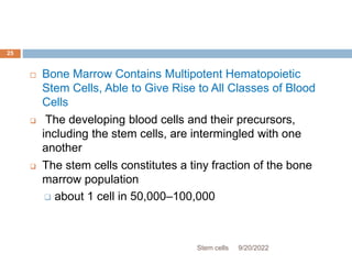  Bone Marrow Contains Multipotent Hematopoietic
Stem Cells, Able to Give Rise to All Classes of Blood
Cells
 The developing blood cells and their precursors,
including the stem cells, are intermingled with one
another
 The stem cells constitutes a tiny fraction of the bone
marrow population
 about 1 cell in 50,000–100,000
9/20/2022
Stem cells
25
 