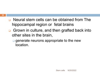  Neural stem cells can be obtained from The
hippocampal region or fetal brains
 Grown in culture, and then grafted back into
other sites in the brain,
 generate neurons appropriate to the new
location.
9/20/2022
Stem cells
28
 
