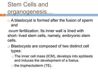 Stem Cells and
organogenesis…
37
 A blastocyst is formed after the fusion of sperm
and
ovum fertilization. Its inner wall is lined with
short- lived stem cells, namely, embryonic stem
cells.
 Blastocysts are composed of two distinct cell
types:
 The inner cell mass (ICM), develops into epiblasts
and induces the development of a foetus.
 the trophectoderm (TE).
 