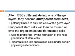 40
 After hESCs differentiate into one of the germ
layers, they become multipotent stem cells,
 potency limited to only the cells of the germ layer.
 Pluripotent stem cells will then be formed all
over the organism as undifferentiated cells
 Able to proliferate by the formation of the next
generation of stem cells
 differentiation into specialized cells under certain
physiological conditions.
 