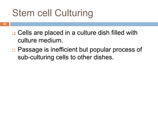 Stem cell Culturing
42
 Cells are placed in a culture dish filled with
culture medium.
 Passage is inefficient but popular process of
sub-culturing cells to other dishes.
 