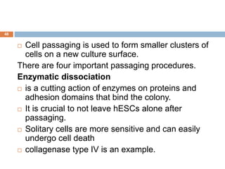 48
 Cell passaging is used to form smaller clusters of
cells on a new culture surface.
There are four important passaging procedures.
Enzymatic dissociation
 is a cutting action of enzymes on proteins and
adhesion domains that bind the colony.
 It is crucial to not leave hESCs alone after
passaging.
 Solitary cells are more sensitive and can easily
undergo cell death
 collagenase type IV is an example.
 