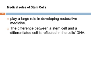 Medical roles of Stem Cells
59
 play a large role in developing restorative
medicine.
 The difference between a stem cell and a
differentiated cell is reflected in the cells’ DNA.
 