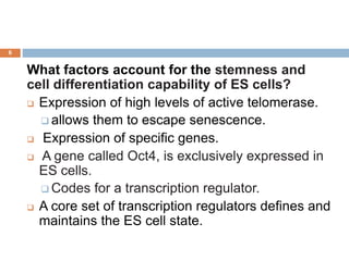 6
What factors account for the stemness and
cell differentiation capability of ES cells?
 Expression of high levels of active telomerase.
 allows them to escape senescence.
 Expression of specific genes.
 A gene called Oct4, is exclusively expressed in
ES cells.
 Codes for a transcription regulator.
 A core set of transcription regulators defines and
maintains the ES cell state.
 