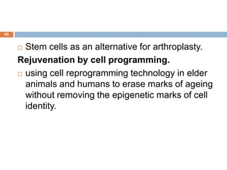 65
 Stem cells as an alternative for arthroplasty.
Rejuvenation by cell programming.
 using cell reprogramming technology in elder
animals and humans to erase marks of ageing
without removing the epigenetic marks of cell
identity.
 