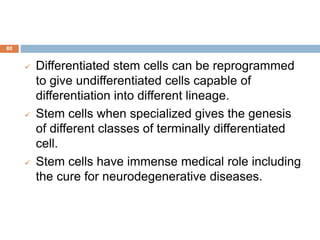 80
 Differentiated stem cells can be reprogrammed
to give undifferentiated cells capable of
differentiation into different lineage.
 Stem cells when specialized gives the genesis
of different classes of terminally differentiated
cell.
 Stem cells have immense medical role including
the cure for neurodegenerative diseases.
 