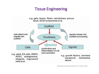 Tissue Engineering
Nanotechnology and Tissue Engineering: The Scaffold, CRC Press; 1 edition (June 16, 2008)
 