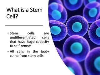 What is a Stem
Cell?
• Stem cells are
undifferentiated cells
that have huge capacity
to self-renew.
• All cells in the body
come from stem cells
 