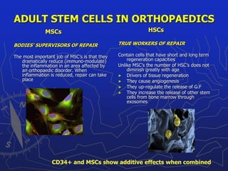 STEM CELLS 2022 | PDF
