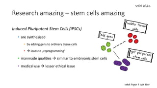 Research amazing – stem cells amazing
Induced Pluripotent Stem Cells (iPSCs)
• are synthesized
• by adding gens to ordinary tissue cells
•  leads to „reprogramming“
• manmade qualities  similiar to embryonic stem cells
• medical use  lesser ethical issue
 