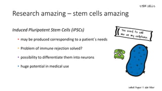 Research amazing – stem cells amazing
Induced Pluripotent Stem Cells (iPSCs)
• may be produced corresponding to a patient´s needs
• Problem of immune rejection solved?
• possibility to differentiate them into neurons
• huge potential in medical use
 