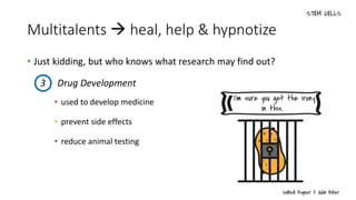 Multitalents  heal, help & hypnotize
• Just kidding, but who knows what research may find out?
• used to develop medicine
• prevent side effects
• reduce animal testing
3 Drug Development
 