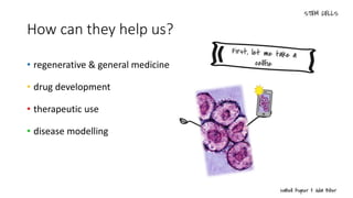 How can they help us?
• regenerative & general medicine
• drug development
• therapeutic use
• disease modelling
 