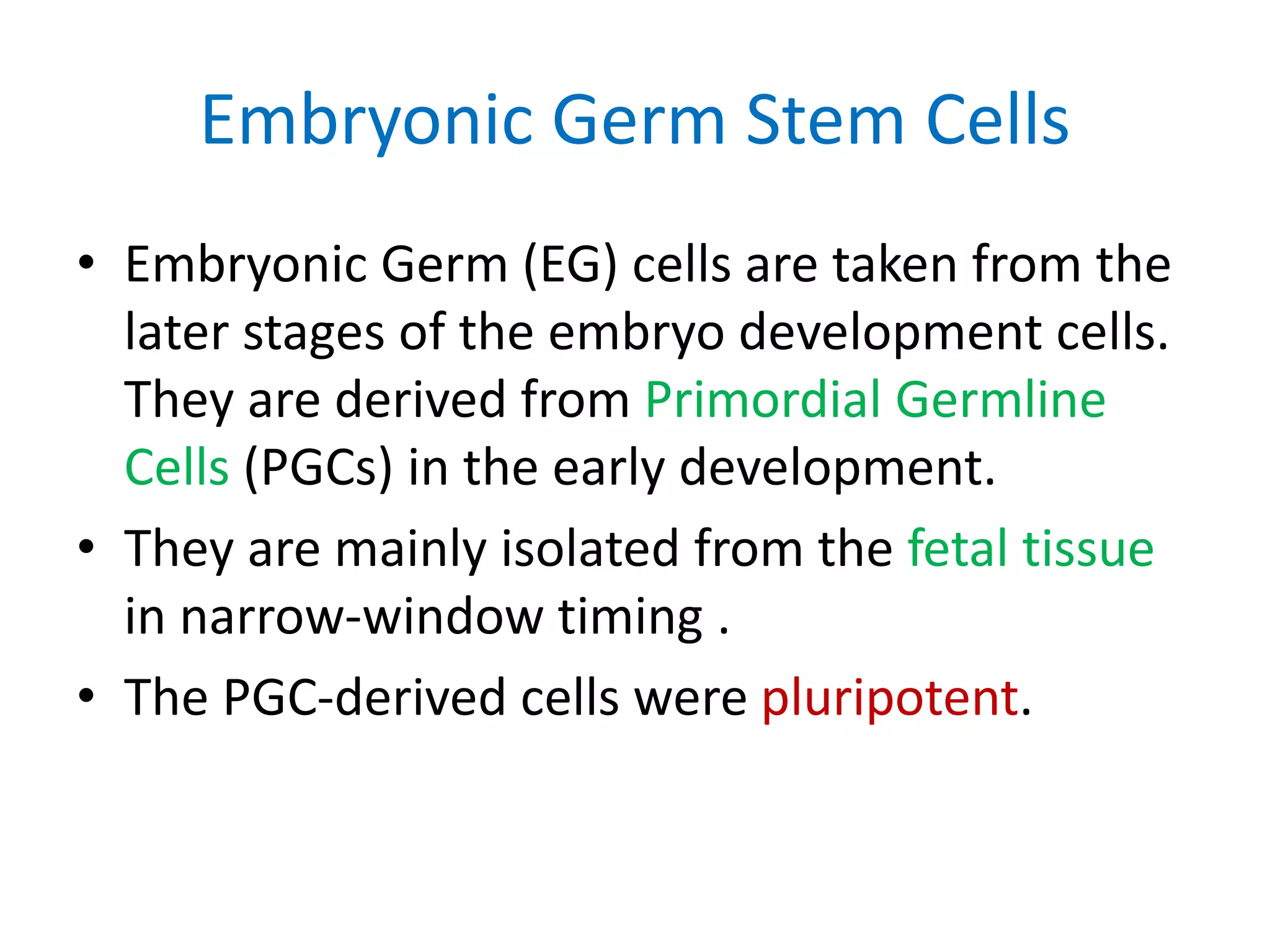 Embryonic Germ Stem Cells
• Embryonic Germ (EG) cells are taken from the
later stages of the embryo development cells.
They are derived from Primordial Germline
Cells (PGCs) in the early development.
• They are mainly isolated from the fetal tissue
in narrow-window timing .
• The PGC-derived cells were pluripotent.
 
