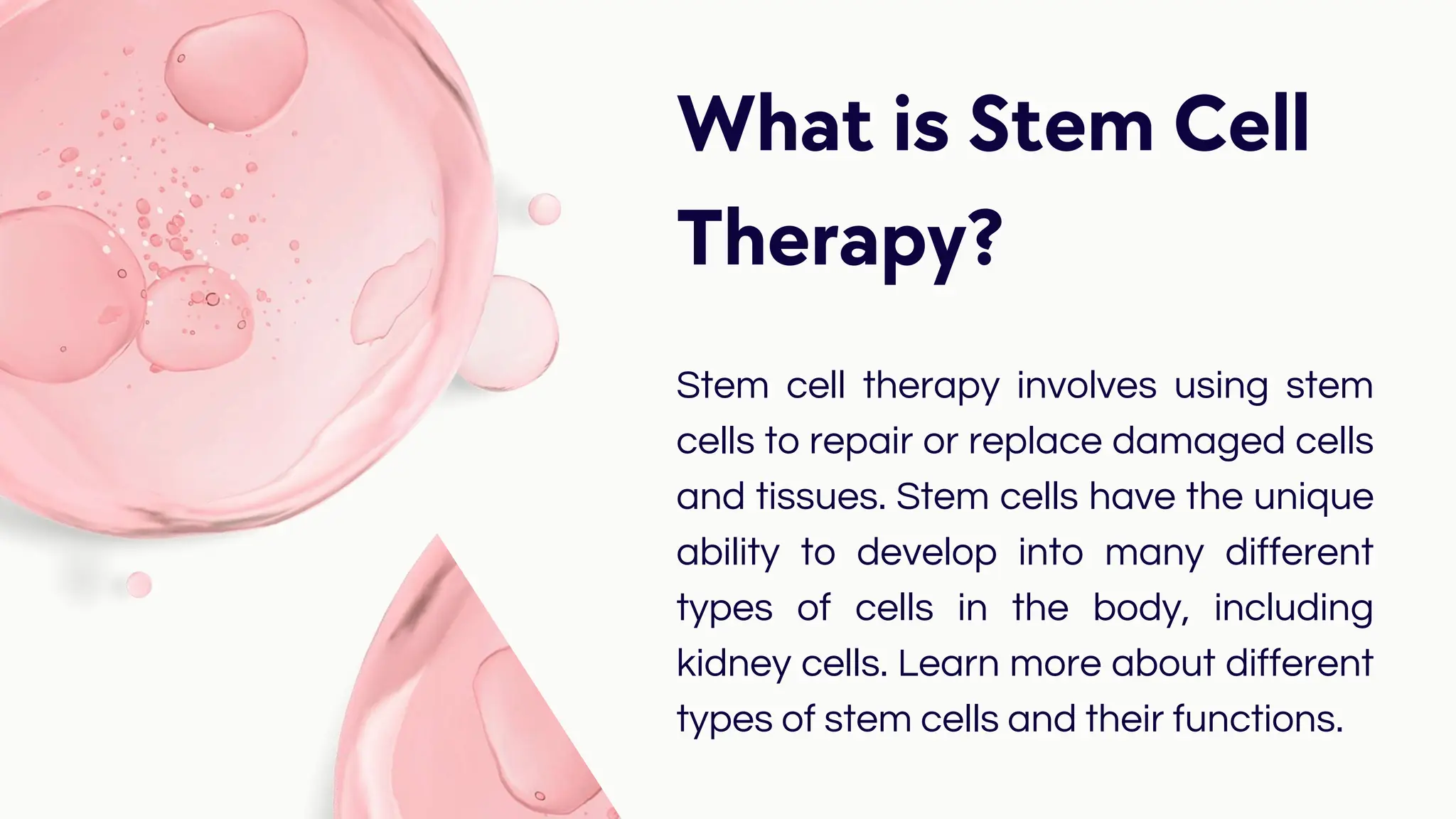 Stem Cells and Kidneys: Pioneering Treatments for Renal Diseases | R3 ...