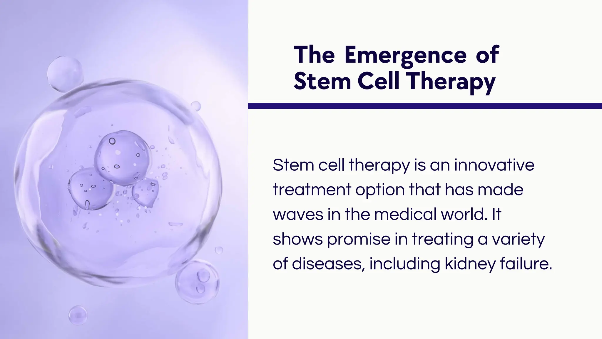 Stem Cells and Kidneys: Pioneering Treatments for Renal Diseases | R3 ...