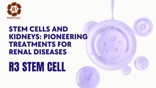 R3 STEM CELL
STEM CELLS AND
KIDNEYS: PIONEERING
TREATMENTS FOR
RENAL DISEASES
 