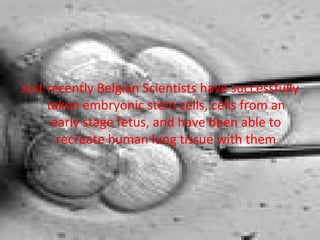 Just recently Belgian Scientists have successfully taken embryonic stem cells, cells from an early stage fetus, and have been able to recreate human lung tissue with them