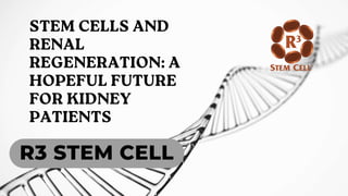 R3 STEM CELL
 