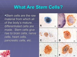 Stem Cells and Stem Cell Therapy.pdf