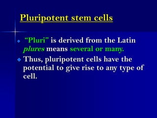 Pluripotent stem cells
“Pluri” is derived from the Latin
plures means several or many.
Thus, pluripotent cells have the
po...