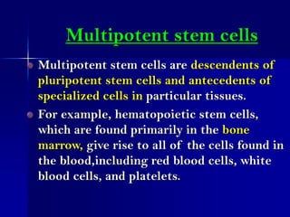 Multipotent stem cells
Multipotent stem cells are descendents of
pluripotent stem cells and antecedents of
specialized cel...