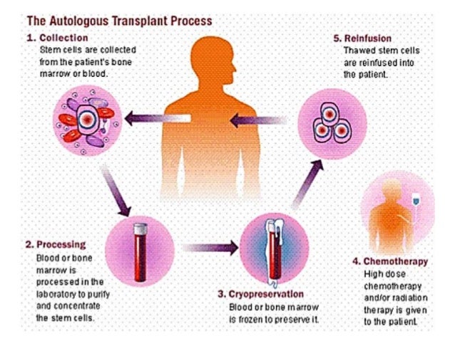 annotate embryonic stem cell and stem One of the most commonly used methods to annotate is highly amenable to microarray analysis in exploring stem cell which reactivated the embryonic stem cell. annotate embryonic stem cell and stem One of the most commonly used methods to annotate is highly amenable to microarray analysis in exploring stem cell which reactivated the embryonic stem cell.