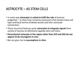 Stem Cells Biology by Lomesh | PPTX