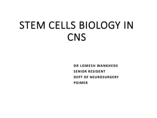 STEM CELLS BIOLOGY IN
CNS
DR LOMESH WANKHEDE
SENIOR RESIDENT
DEPT OF NEUROSURGERY
PGIMER
 
