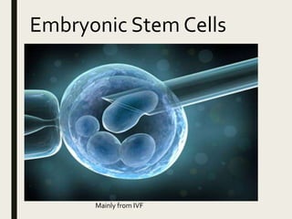 Embryonic Stem Cells
Mainly from IVF
 