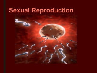 Sexual Reproduction
 