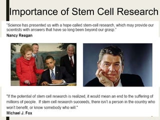 Importance of Stem Cell Research
 