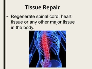 Tissue Repair
• Regenerate spinal cord, heart
tissue or any other major tissue
in the body.
 