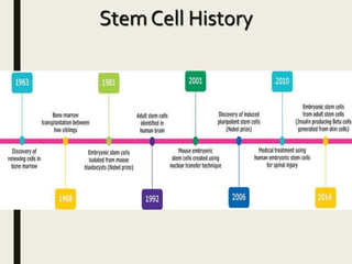 Stem Cell History
 