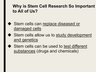 Why is Stem Cell Research So Important
to All of Us?
 Stem cells can replace diseased or
damaged cells
 Stem cells allow us to study development
and genetics
 Stem cells can be used to test different
substances (drugs and chemicals)
 