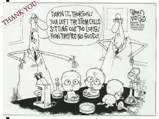 Stem Cells by Sejul Jaiswal.ppt