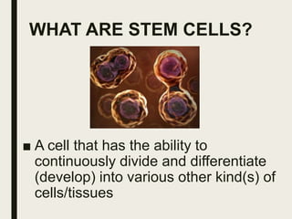 WHAT ARE STEM CELLS?
■ A cell that has the ability to
continuously divide and differentiate
(develop) into various other kind(s) of
cells/tissues
 