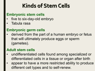 Kinds of Stem Cells
Embryonic stem cells
• five to six-day-old embryo
• Tabula rasa
Embryonic germ cells
• derived from the part of a human embryo or fetus
that will ultimately produce eggs or sperm
(gametes).
Adult stem cells
• undifferentiated cells found among specialized or
differentiated cells in a tissue or organ after birth
• appear to have a more restricted ability to produce
different cell types and to self-renew.
 