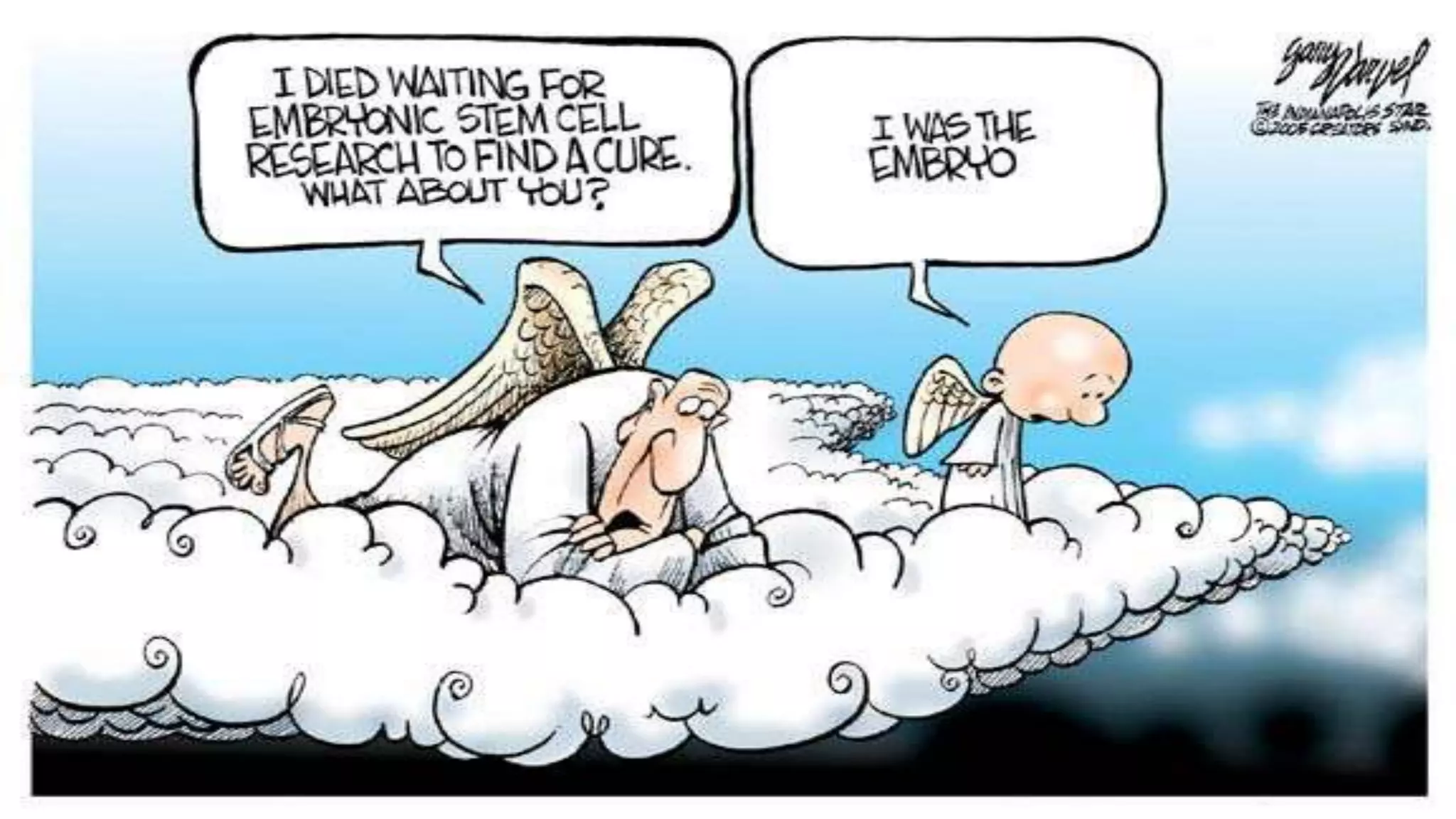 Stem cells , culture and  technologies