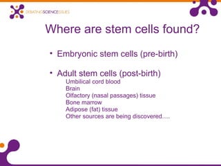 Where are stem cells found?
• Embryonic stem cells (pre-birth)
• Adult stem cells (post-birth)
Umbilical cord blood
Brain
Olfactory (nasal passages) tissue
Bone marrow
Adipose (fat) tissue
Other sources are being discovered….
 