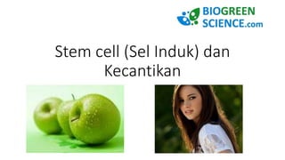 Stem cell (Sel Induk) dan
Kecantikan
 