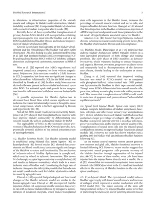 BioMed Research International 5
to alterations in ultrastructure properties of the smooth
muscle and collagen. In bladder outlet obstruction, bladder
instability was found [34]. Compensated bladder dysfunction
with overactive bladder is expected after 6 weeks [33].
Recently, Lee et al. have reported that transplantation of
primary human MSCs labeled with nanoparticles containing
superparamagnetic iron oxide into the bladder wall of a rat
BOO model inhibited bladder fibrosis and induced improve-
ment of bladder dysfunction [19].
Growth factors have been reported in the bladder devel-
opment and the remodeling of the bladder wall after outlet
obstruction [35]. This finding was also demonstrated by Song
et al. [20] that displayed human MSCs overexpressing HGF
by pairing clonal human MSCS with HGF inhibited collagen
deposition and improved cystometric parameters in BOO of
rats.
Woo et al. [21] reported that MSCs engraftment had
improved compliance compared to those without engraft-
ment. Polymerase chain reaction revealed a 2-fold increase
in CCL2 expression, but there were no significant changes in
other chemokine. Additionally, CCL2 in the BOO model was
identified by Tanaka et al. [36]. In their study, bone marrow
derived cells were present in the urothelial and stromal layers
after BOO. An activated epidermal growth factor receptor
was found in cells associated with bone marrow derived cells
[36].
A possible explanation for bladder dysfunction is
decreased local blood flow, which means significant tissue
ischemia. Increased intraluminal pressure is thought to cause
vessel compression, which is further aggravated by fibrosis
and hypertrophy [37, 38].
Not all the BOO model results reveal overactivity. Nishi-
jima et al. [39] showed that transplanted bone marrow cells
may improve bladder contractility by differentiating into
smooth muscle-like cells in underactive bladder by BOO.
The applicability of MSCs to the treatment and/or pre-
vention of bladder dysfunction by BOO would provide a new,
potentially powerful addition to the limited armamentarium
of existing therapies.
4.2. Bladder Ischemia Model. The bladder ischemia model
is established using bilateral iliac artery ligation [40] or
hyperlipidemia [41]. Several studies [42] showed that artery
stenosis and blood insufficiency can cause significant changes
of the bladder’s structure and functionality. The mechanism
of ischemia-induced bladder dysfunction is complicated,
which may be related to ischemic denervation. This causes
M-cholinergic receptor hypersensitivity to acetylcholine [43]
and results in detrusor overactivity which leads to a more
ischemic state of bladder wall. Considering the high rate of
ischemic changes in the elderly, it is possible that the ischemia
rat model could also be used for bladder dysfunction which
is caused by aging detrusor.
Chen et al. [40] reported that pathological and functional
changes of the bladder ischemic model are similar to the
human aging detrusor. Chen et al. [40] also reported that the
injection of stem cell suspension into the common iliac artery
in rats with ischemic bladder, followed by intragastric admin-
istration of doxazosin mesylate, which makes transplanted
stem cells regenerate in the bladder tissue, increases the
percentage of smooth muscle content and nerve cells, and
improves bladder detrusor function. Huang et al. [41] showed
that direct injection to the bladder or intravenous injection of
ADSCs improved urodynamics and tissue parameters in the
rat model of hyperlipidemia associated overactive bladder.
Azadzoi et al. [44] found that hyperlipidemia induced
chronic ischemia increases transforming growth factor-𝛽1 in
the bladder which leads to fibrosis and noncompliance.
4.3. Diabetes Model. Daneshgari et al. [45] proposed that
diabetic bladder dysfunction (DBD) typically evolves in a
time-dependent progression of both storage and voiding
problems. The early phase of DBD manifests as detrusor
overactivity, which represents leading to urinary frequency
and urgency. However, over time, progressive oxidative stress
and neuropathy lead to decompensation of the detrusor
musculature, thereby leading to the underactive or atonic
bladder.
Zhang et al. [46] reported that improved voiding
function was noted in ADSCs-treated rats as compared
with phosphate-buffered saline-treated rats. DBD pattern
was hypocontractile bladders in their experimental model.
Though some ADSCs differentiated into smooth muscle cells,
paracrine pathway seems to play a main role in this process as
well. This means that transplantation of ADSCs could result
in reduction of apoptosis and preservation of “suburothelial
capillaries network.”
4.4. Spinal Cord Injured Model. Spinal cord injury (SCI)
induces complete deterioration of bladder compliance, func-
tion, infection, and other lower urinary tract complications
[47]. SCI rat exhibited increased bladder wall thickness that
contained a larger percentage of collagen [48]. The goal of
bladder treatment in patients with SCI is to reduce infections,
preserve renal function, and to improve patient’ quality of life.
Transplantation of neural stem cells into the injured spinal
cord has been reported to improve bladder function in animal
models [49]. However, no study has shown whether MSCs
grafting into the bladder wall can influence bladder function
following SCI.
As the mature central nervous system cannot generate
new neurons and glial cells, bladder functional recovery is
limited following SCI. However, recent studies suggest that
transplanted neural progenitor cells promote recovery of
the bladder function through regeneration of the injured
site [49–52]. In most of these studies, stem cells have been
injected into the injured lesion directly with a needle. Hu et
al. [53] showed that intravenously transplanted bone marrow
stromal cells (BMSCs) survived in the L3-4 and had beneficial
effects on the recovery of bladder function in the rats after
spinal cord injury.
4.5. Cryo-Injured Model. The cyro-injured model induces
bladder hypertrophy with loss of smooth muscle and increase
of collagen which represent a similar mechanism with the
BOO model [54]. The major outcome of the stem cell
transplantation in the cryo-injured bladder seems to be that
of preventing the increase in size of surviving smooth muscle
 