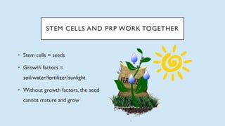 STEM CELLS AND PRP WORK TOGETHER
• Stem cells = seeds
• Growth factors =
soil/water/fertilizer/sunlight
• Without growth factors, the seed
cannot mature and grow
 