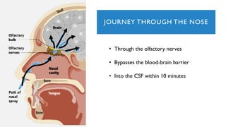 JOURNEY THROUGH THE NOSE
• Through the olfactory nerves
• Bypasses the blood-brain barrier
• Into the CSF within 10 minutes
 