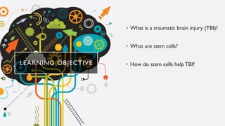 LEARNING OBJECTIVE
• What is a traumatic brain injury (TBI)?
• What are stem cells?
• How do stem cells help TBI?
 