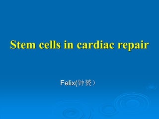 Stem cells in cardiac repair
Felix(钟赟）
 
