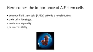 Here comes the importance of A.F stem cells
• amniotic fluid stem cells (AFSCs) provide a novel source :
• their primitive stage,
• low immunogenicity
• easy accessibility.
 