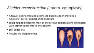 Bladder reconstruction (entero–cystoplasty)
• A tissue–engineered and urothelial–lined bladder provides a
functional barrier against urine exposure
• could help to overcome most of the serious complications associated
with conventional entero–cystoplasty.
• Still under trial
• Results are disappointing
 