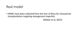 Real model
• hfMSC have been collected from the liver of fetus for intrauterine
transplantation targeting osteogenesis imperfect
(Mattar et al, 2012)
 